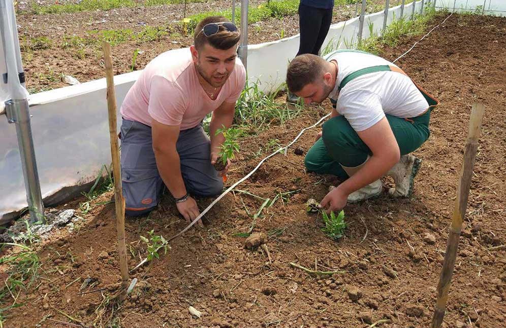 Σχολές Ανώτερης Επαγγελματικής Κατάρτισης ΣΑΕΚ (ΙΕΚ) ΔΕΛΤΑ 360 - Αγροτική Κατάρτιση - Πρότυπο Αγρόκτημα
