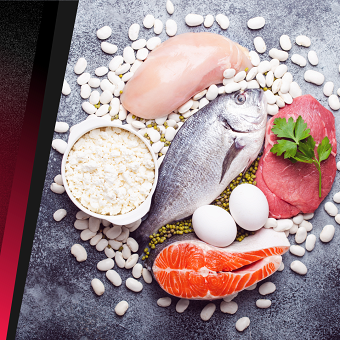 360 Seminar: Ο ρόλος των πρωτεϊνικών τροφών στην αθλητική διατροφή - απόδοση