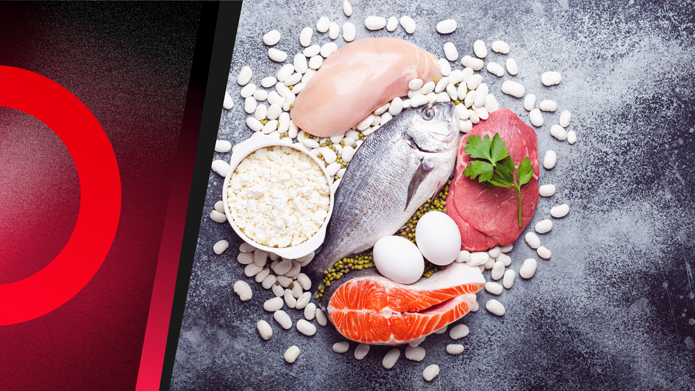 360 Seminar: Ο ρόλος των πρωτεϊνικών τροφών στην αθλητική διατροφή - απόδοση